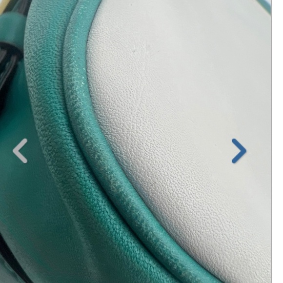 Coach bleecker street limited release Ellie satchel - Picture 16 of 16